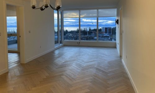 University Hill Interior Painting