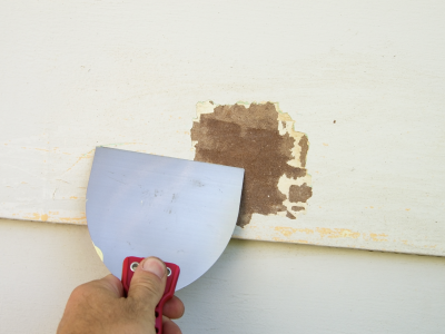 Exterior Painting Preparations