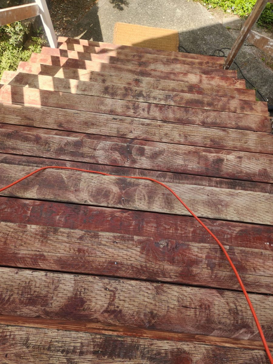 Before Dunbar, BC Exterior Step Painting Preview Image 4