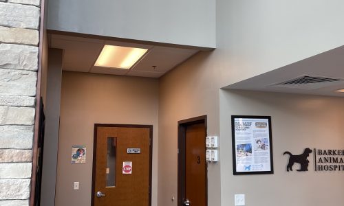 Barker Animal Hospital After