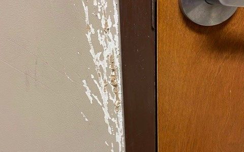 Barker Animal Hospital Before