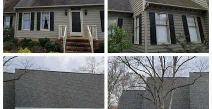 Roof Wash and Exterior Painting