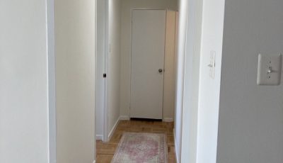 Hallway Interior Painting white