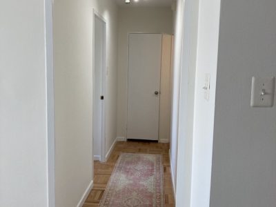 Hallway Interior Painting white