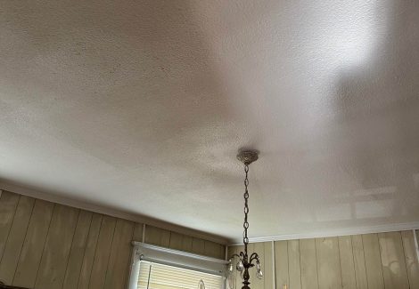 Ceiling Drywall Repair & Paint
