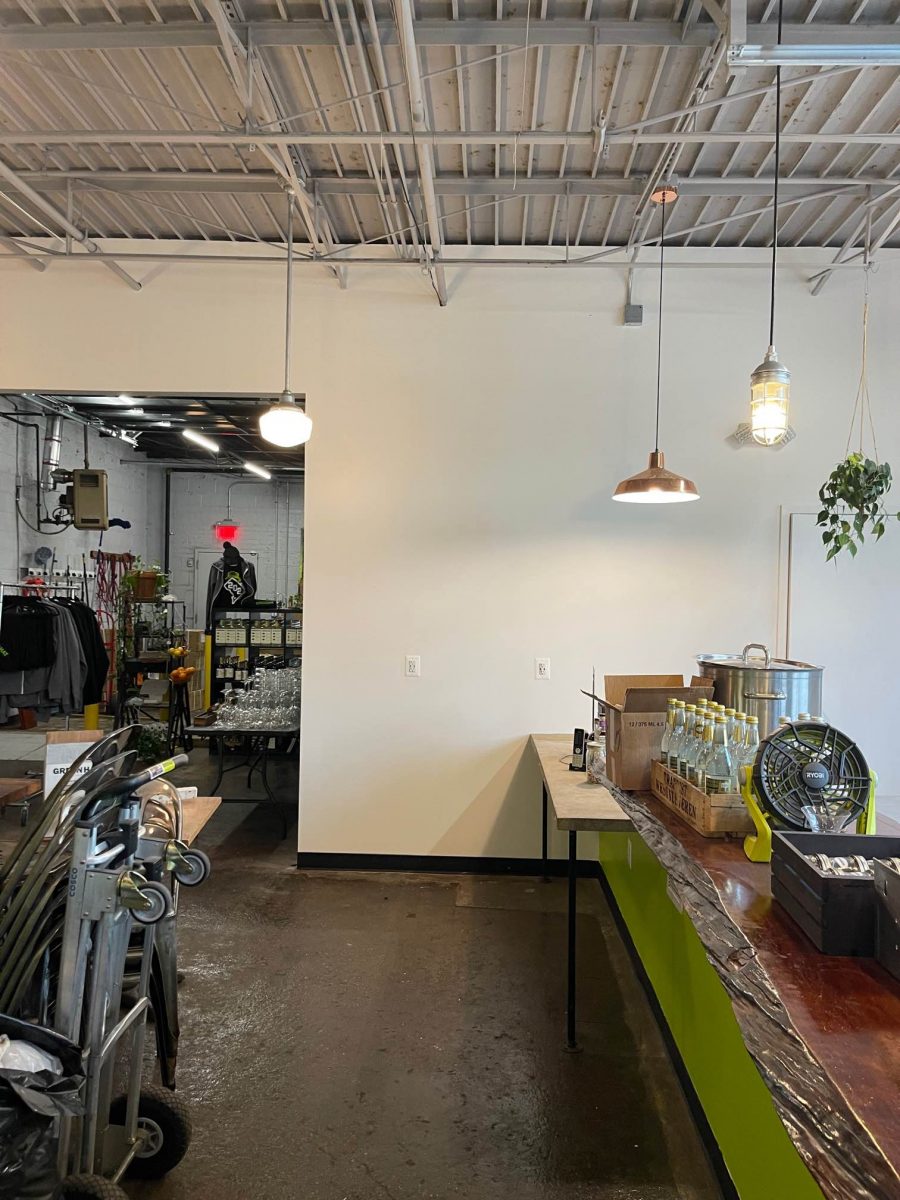 Freshly Painted White Wall Preview Image 3