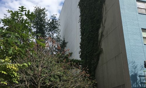 Detailed Work Schedule