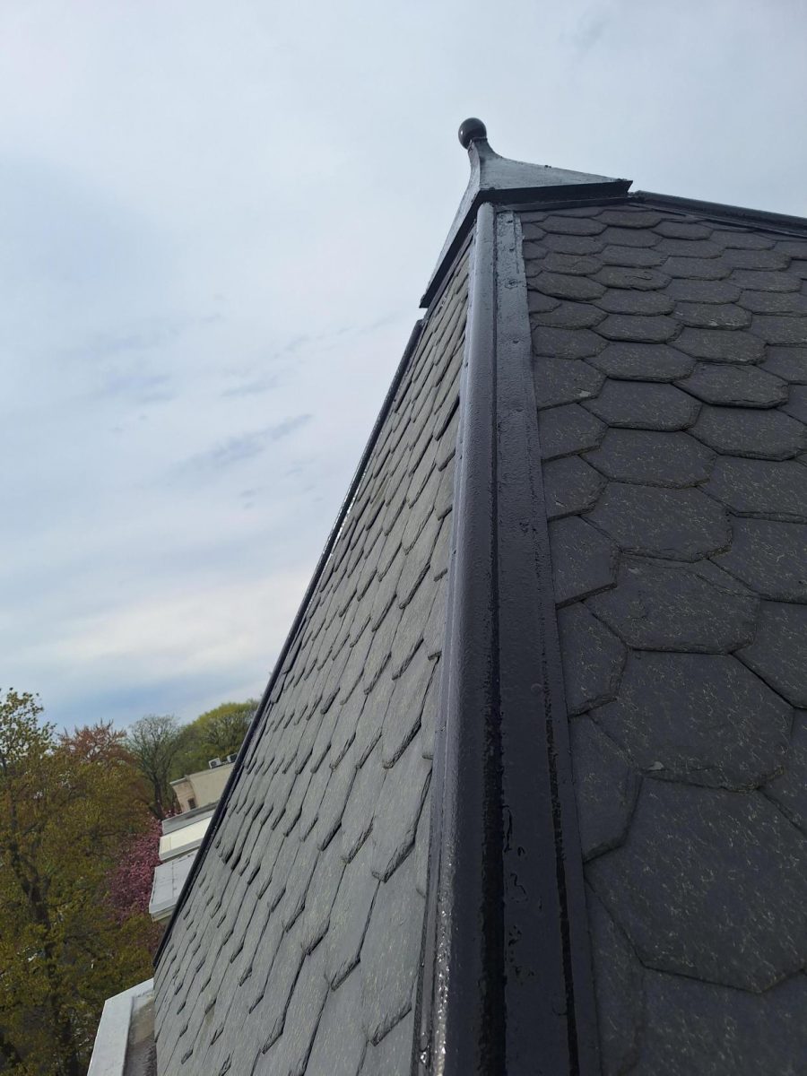 roof with fish scale shingles Preview Image 12