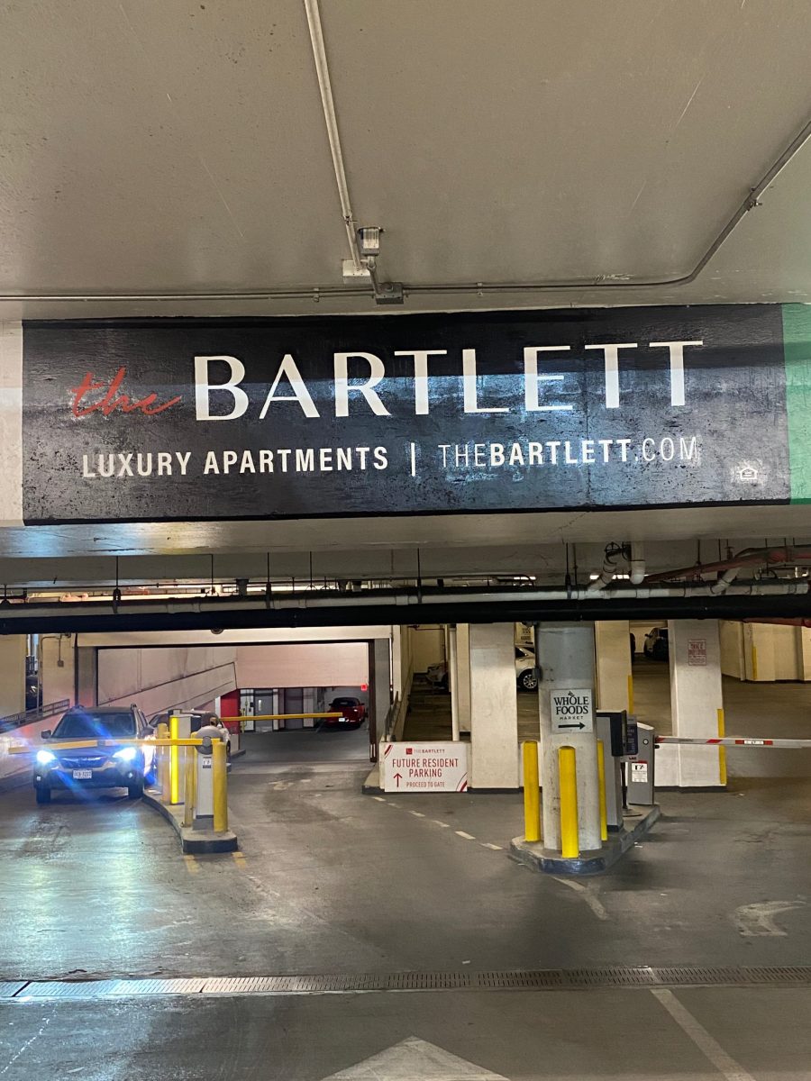 Custom Mask Painting in Pentagon City Preview Image 5