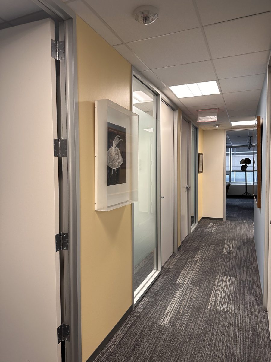 yellow painted office hallway Preview Image 6