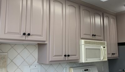 painted kitchen cabinets and kitchen appliances