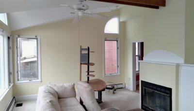 Interior Paint of Living Room