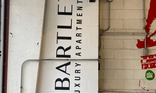 Vertical Garage Painting