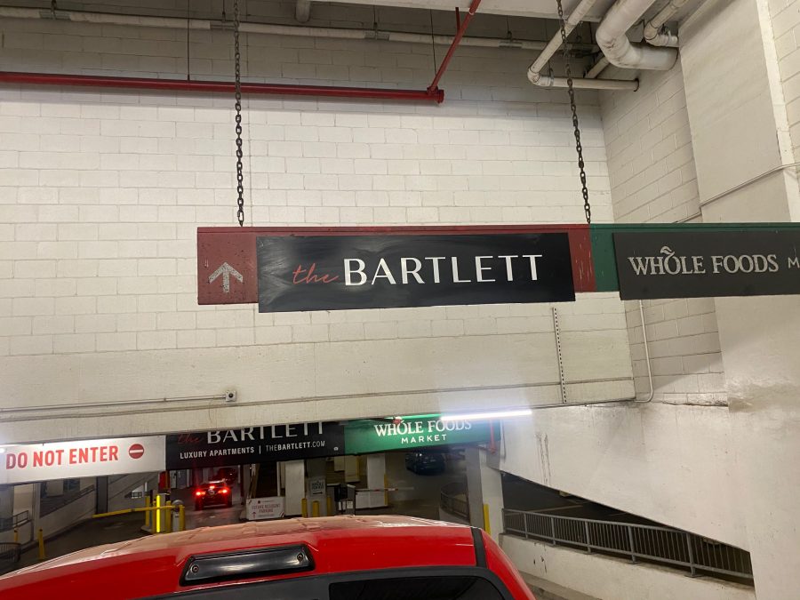 Wide View of the Mask Painting Preview Image 3