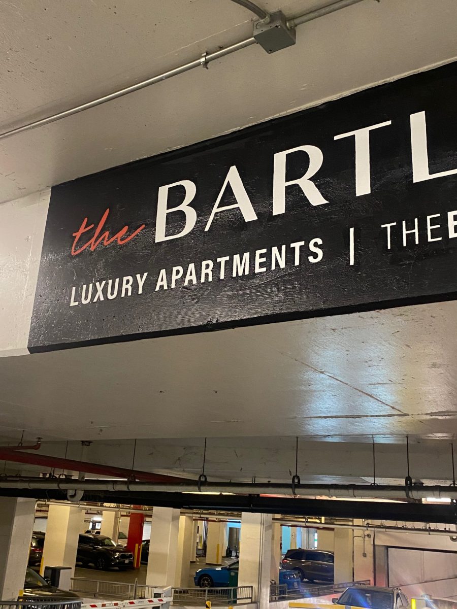 Another Angle of the Mask Painting Preview Image 1