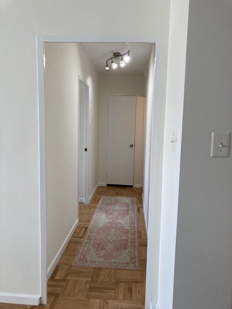 Hallway Interior Painting white