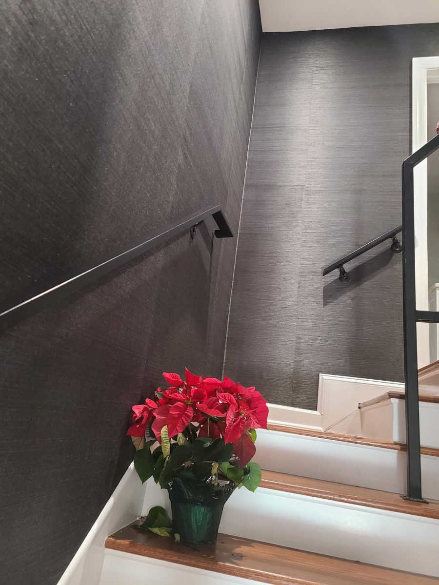 wallpaper removal Preview Image 2