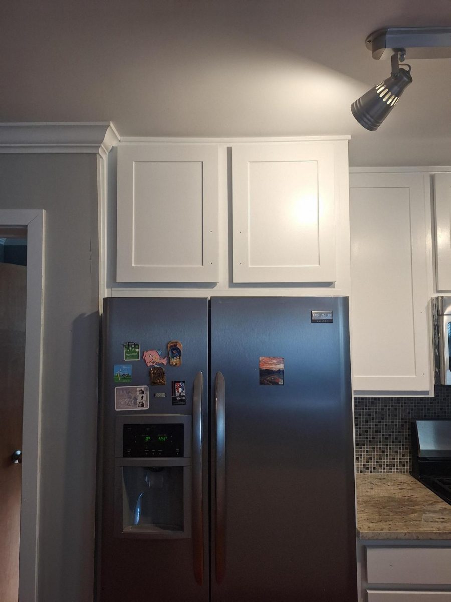 home refrigerator Preview Image 3