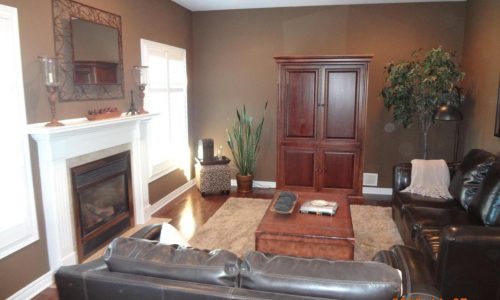Living Room Painting in Southwestern Ontario