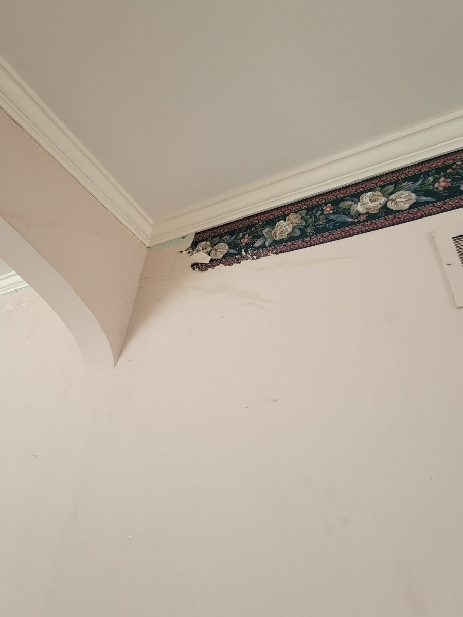 Wallpaper Removal Case Study Before Image Preview Image 13