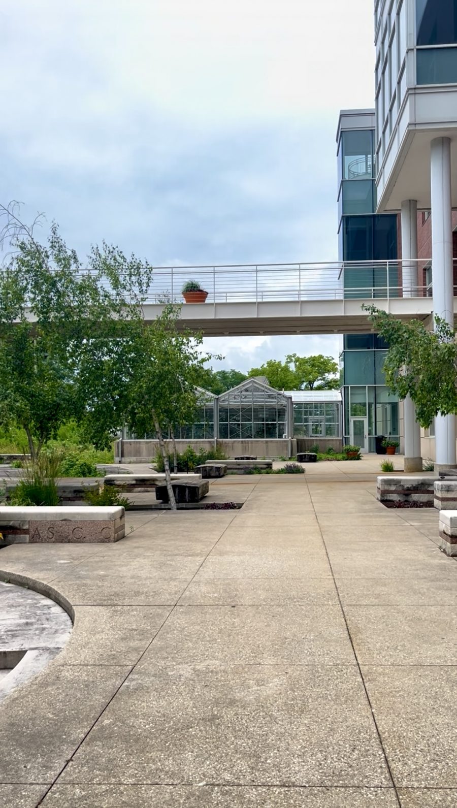 potted plant on a pedestrian bridge connecting two buildings Preview Image 7