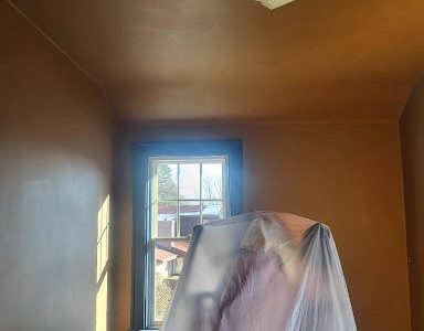 Office Repaint Before