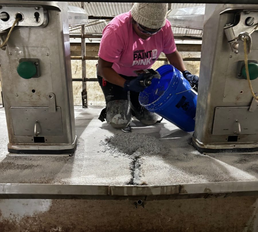Gill Dairy Case Study floor being filled and repaired different angle Preview Image 14