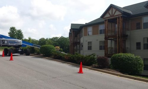 Prep & Repair of Log Faces