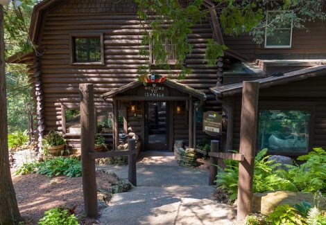 Ishnala Supper Club Case Study After Photo