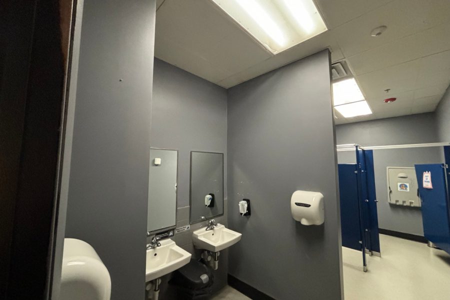 Skyzone Before Bathroom Photo Preview Image 20