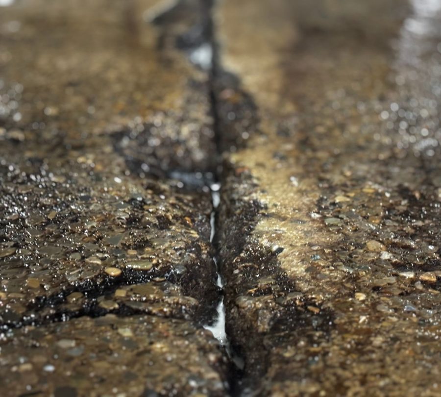 Gill Dairy Case Study before Photo cleaned up damaged floor Preview Image 5