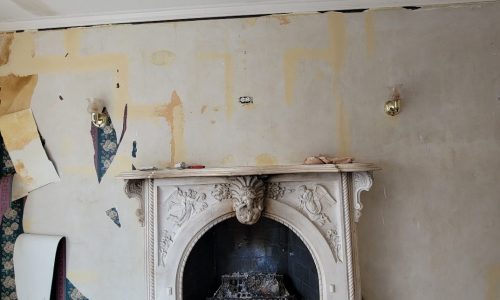 Wallpaper Removal Case Study During Image