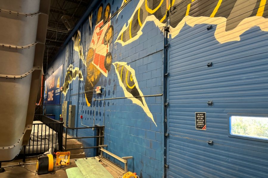 Skyzone Before wall mural Preview Image 12