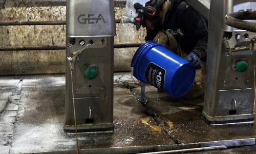 Gill Dairy Case Study During Photo