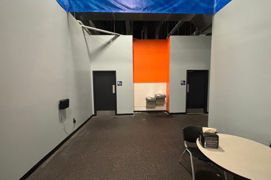 Skyzone After bathroom hallway Preview Image 9