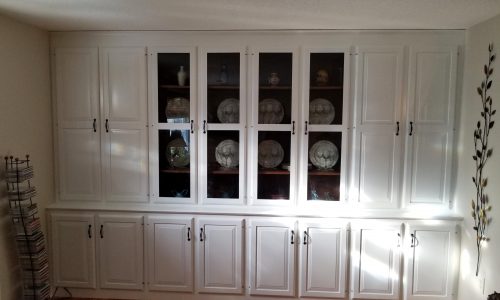 Painted Bookcase in Living Room