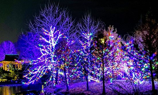 Professional Holiday light services Westchester, NY