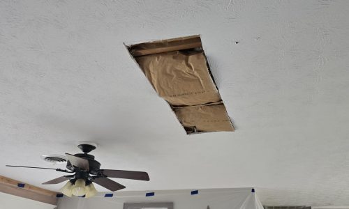 Ceiling Section Removed
