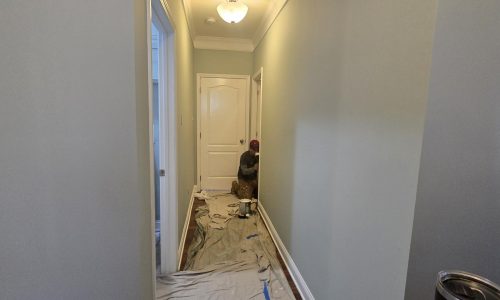 Residential Interior Painting (During)