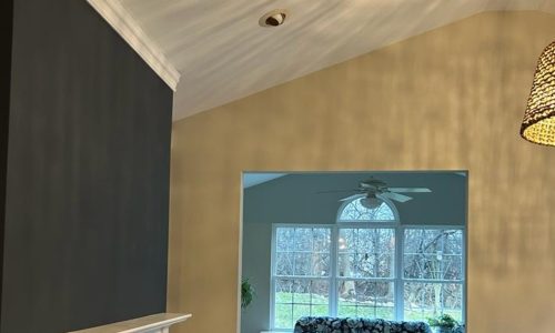 Coatsville home interior project after