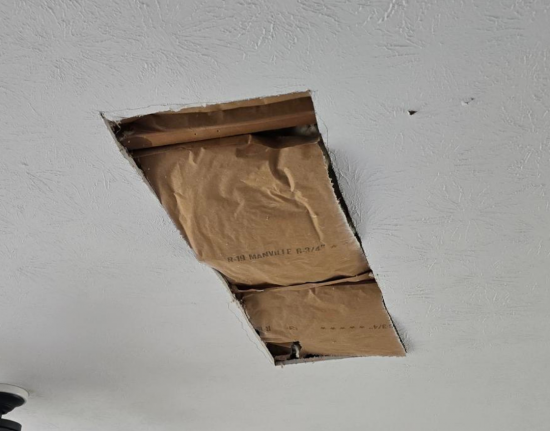 Ceiling Repair