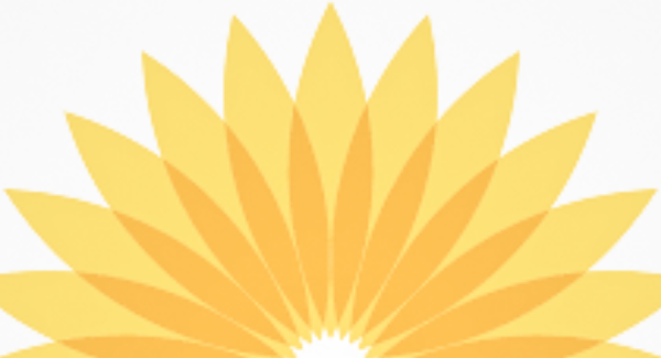 lch health and community services