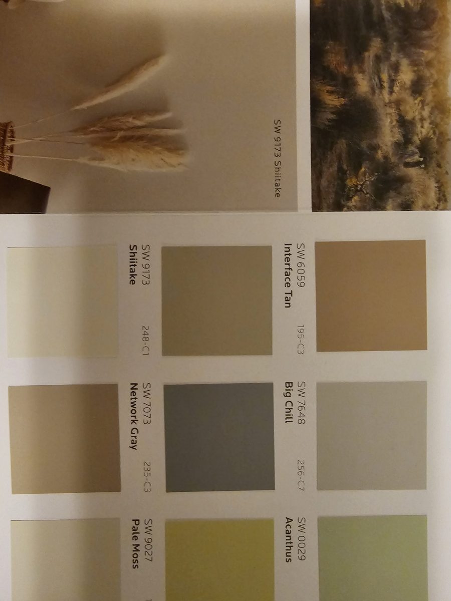 Choosing Colors (Before) Preview Image 7