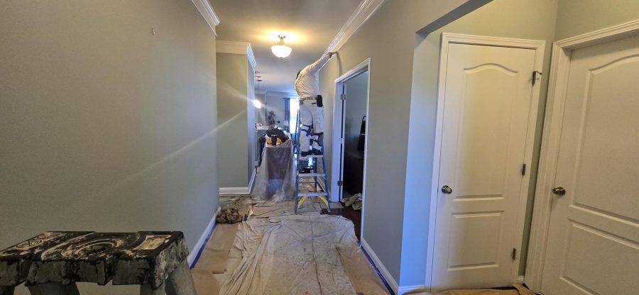 Residential Interior Painting (During) Preview Image 2