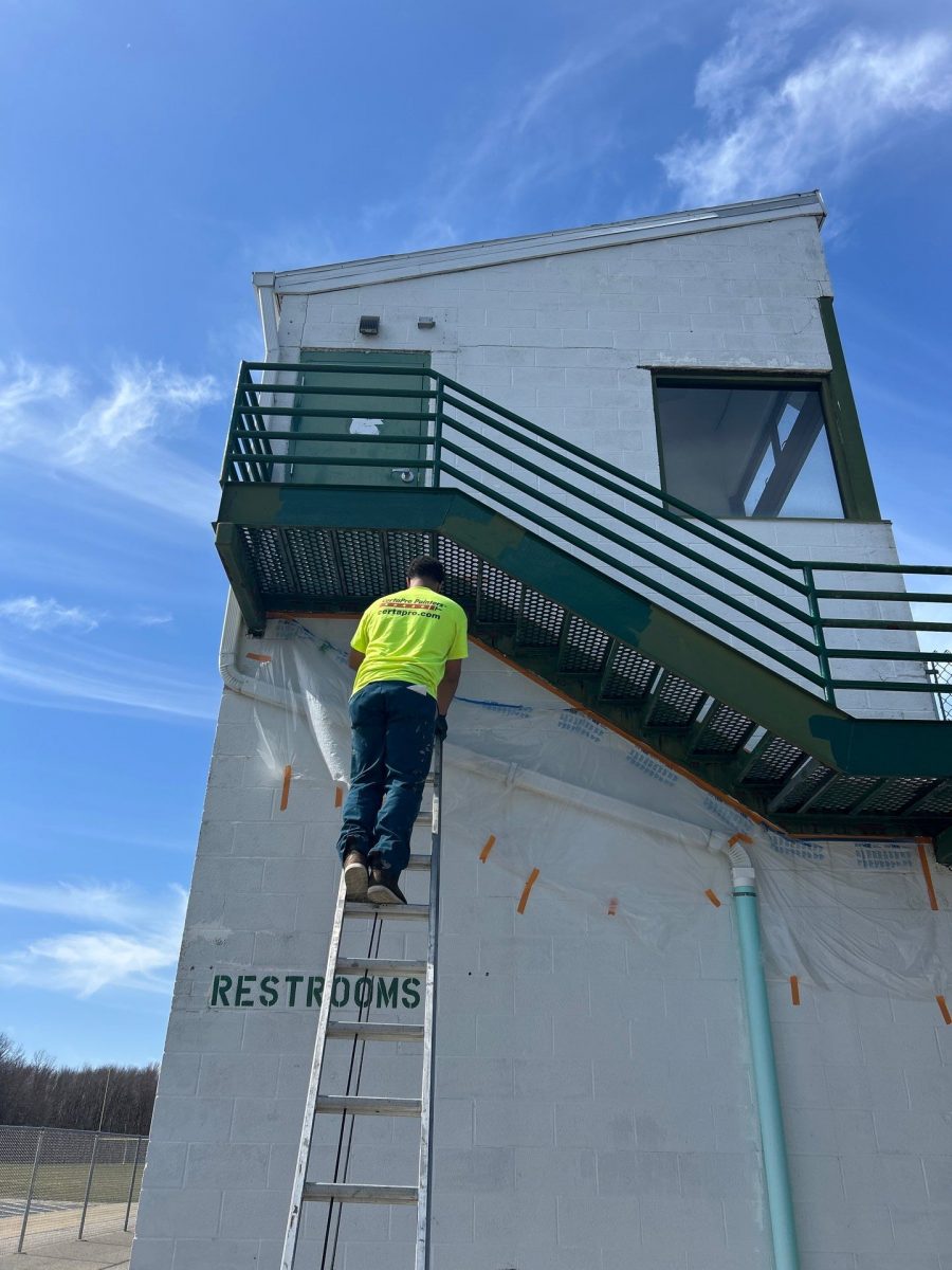 Reed Field Preview Image 3