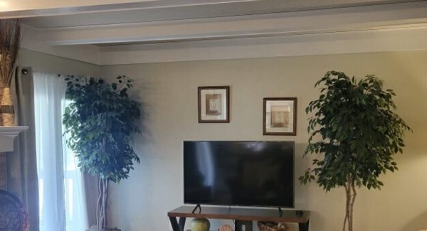 interior house painting