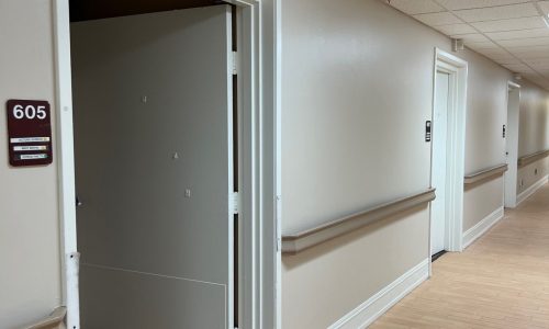 Doors, Trim, Walls, and Handrail Painting