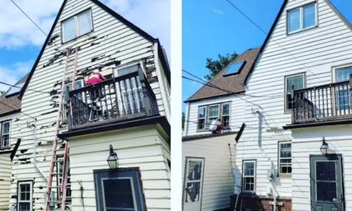 Siding Repair & Painting