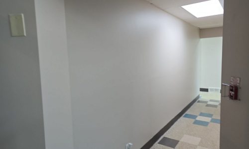 ViaQuest Staff Hallway Painting