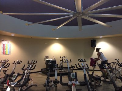 la fitness gym painting